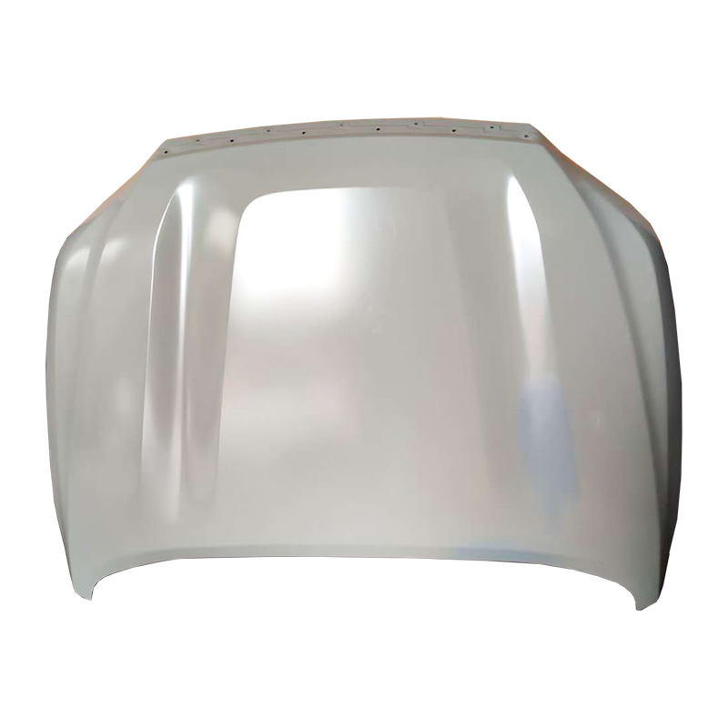 NP300 21 Paraurti