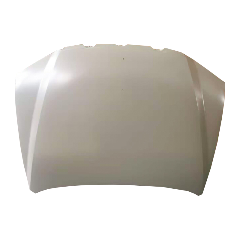 Coperture per cofano auto HONGQI H716