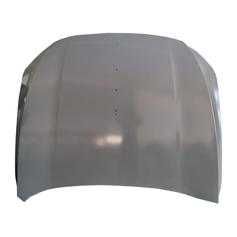 Pannello del cofano del cofano dell'auto HONGQI HS5