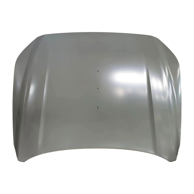 Coperture per cofano auto HONGQI HS7