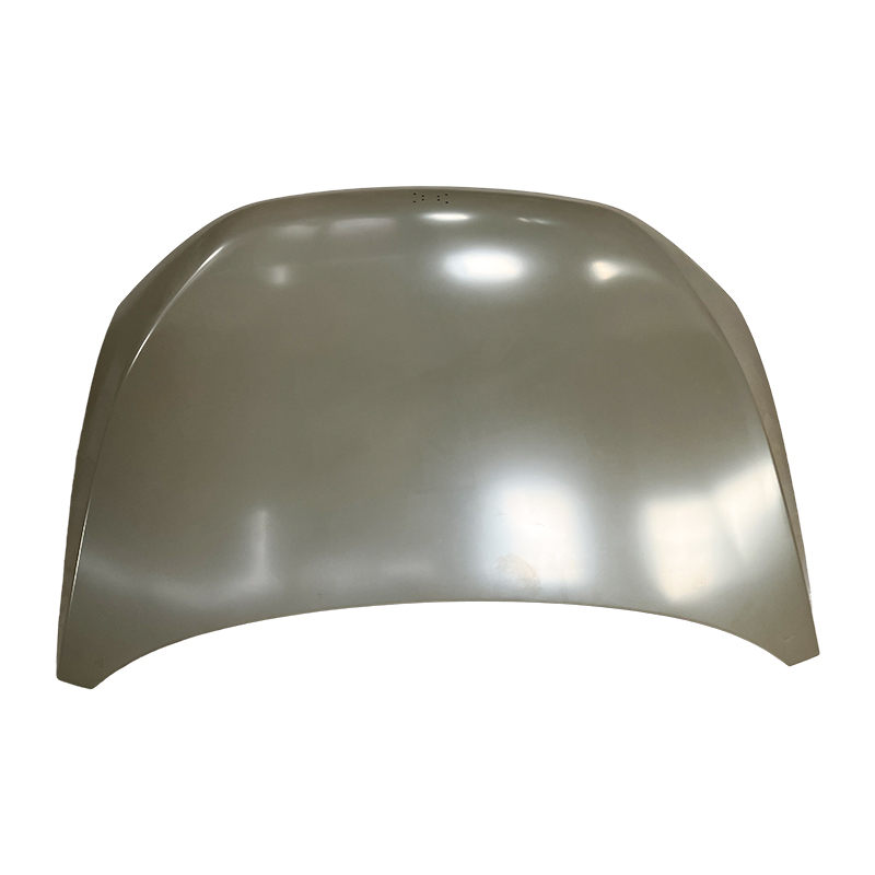 Coperture per cofano auto XPENG P5