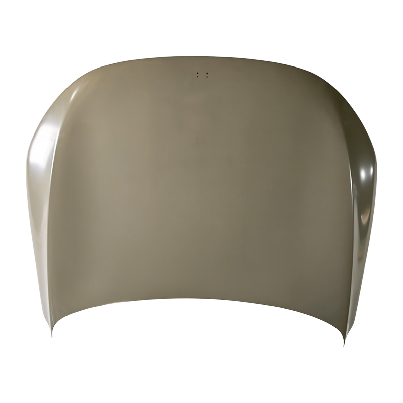 Cofano anteriore ricambi auto XPENG G9
